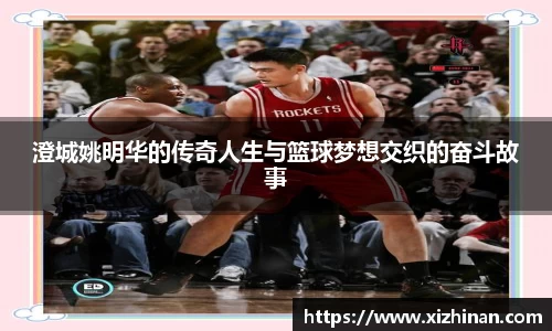 米乐yy易游
